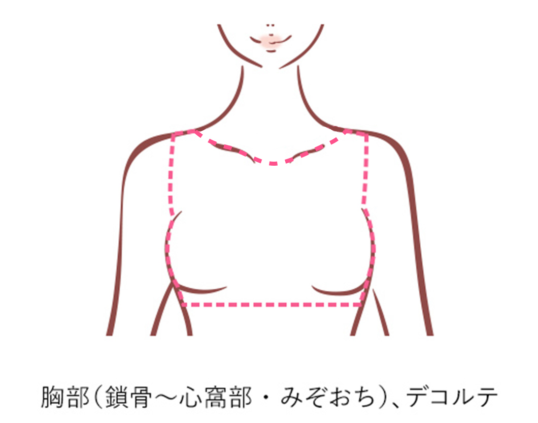 胸部(鎖骨～心窩部)