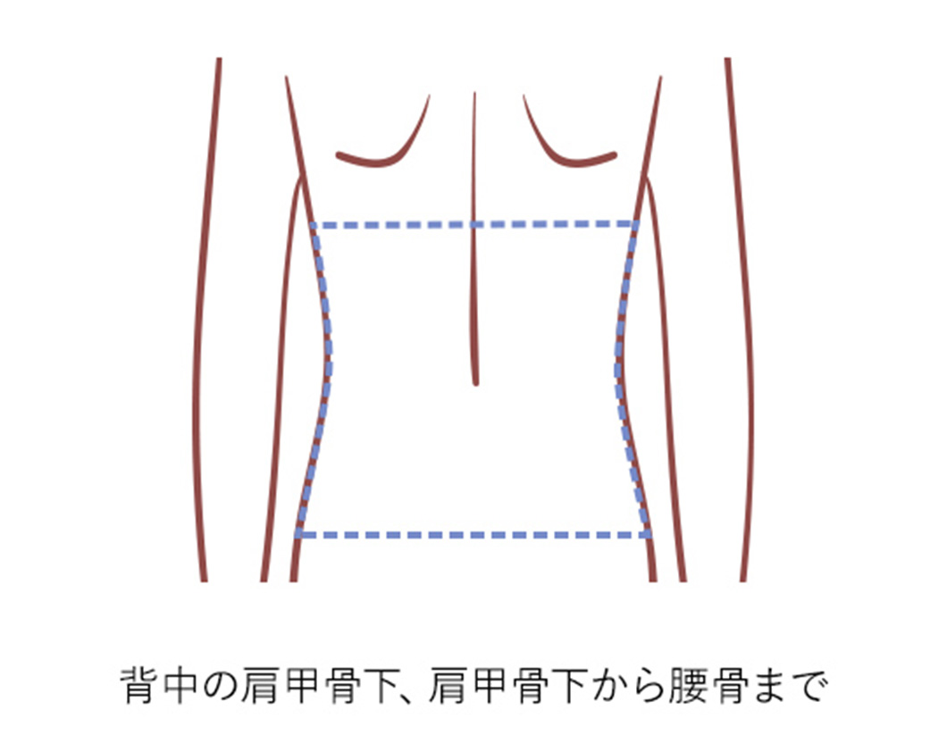 背中(下2/3)