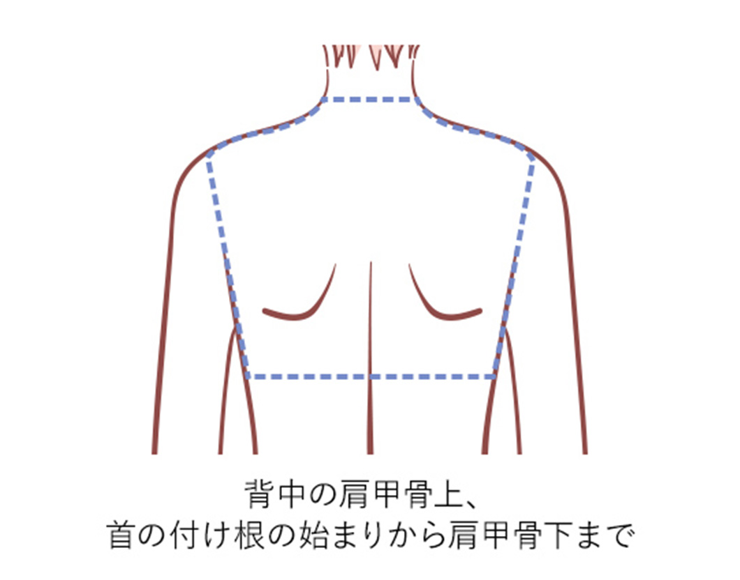 背中(上1/3)