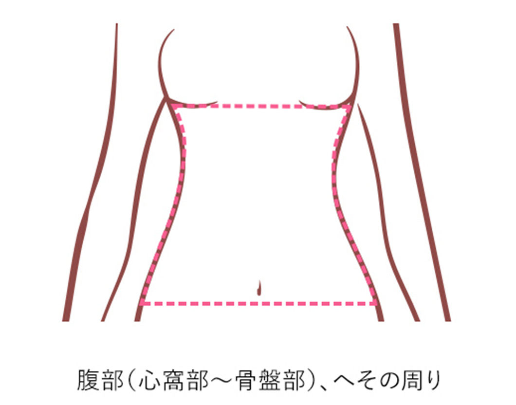 腹部(心窩部~骨盤部)