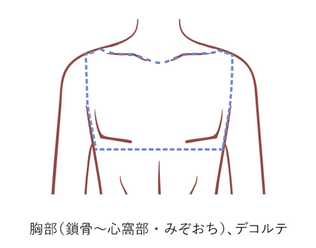 胸部(鎖骨～心窩部)