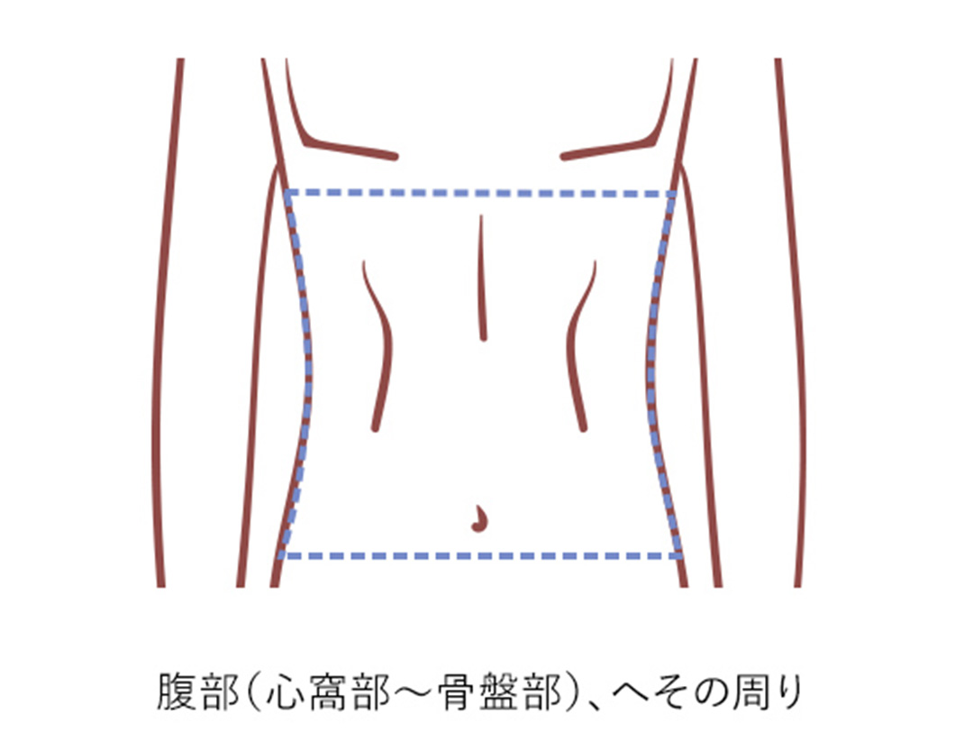 腹部(心窩部～骨盤部)