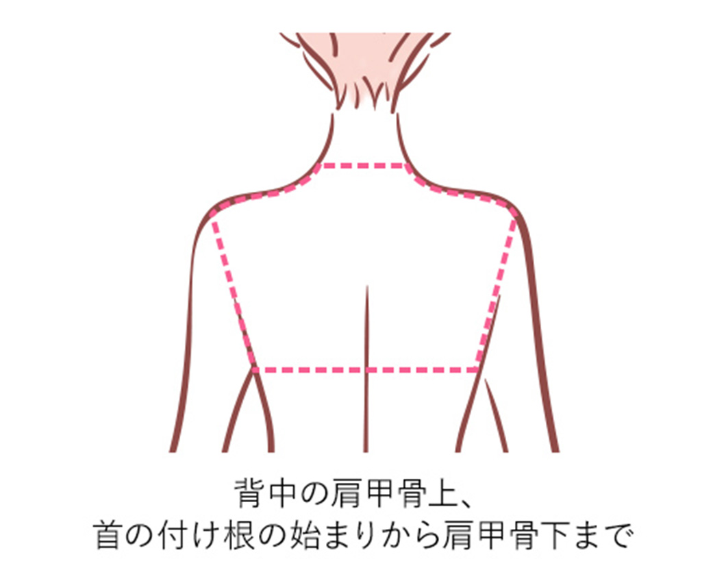 背中(上1/3)